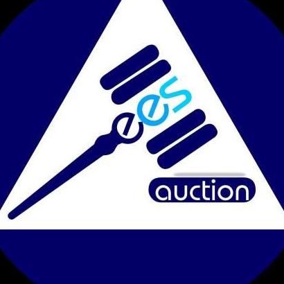 EES Auction In  Nigeria